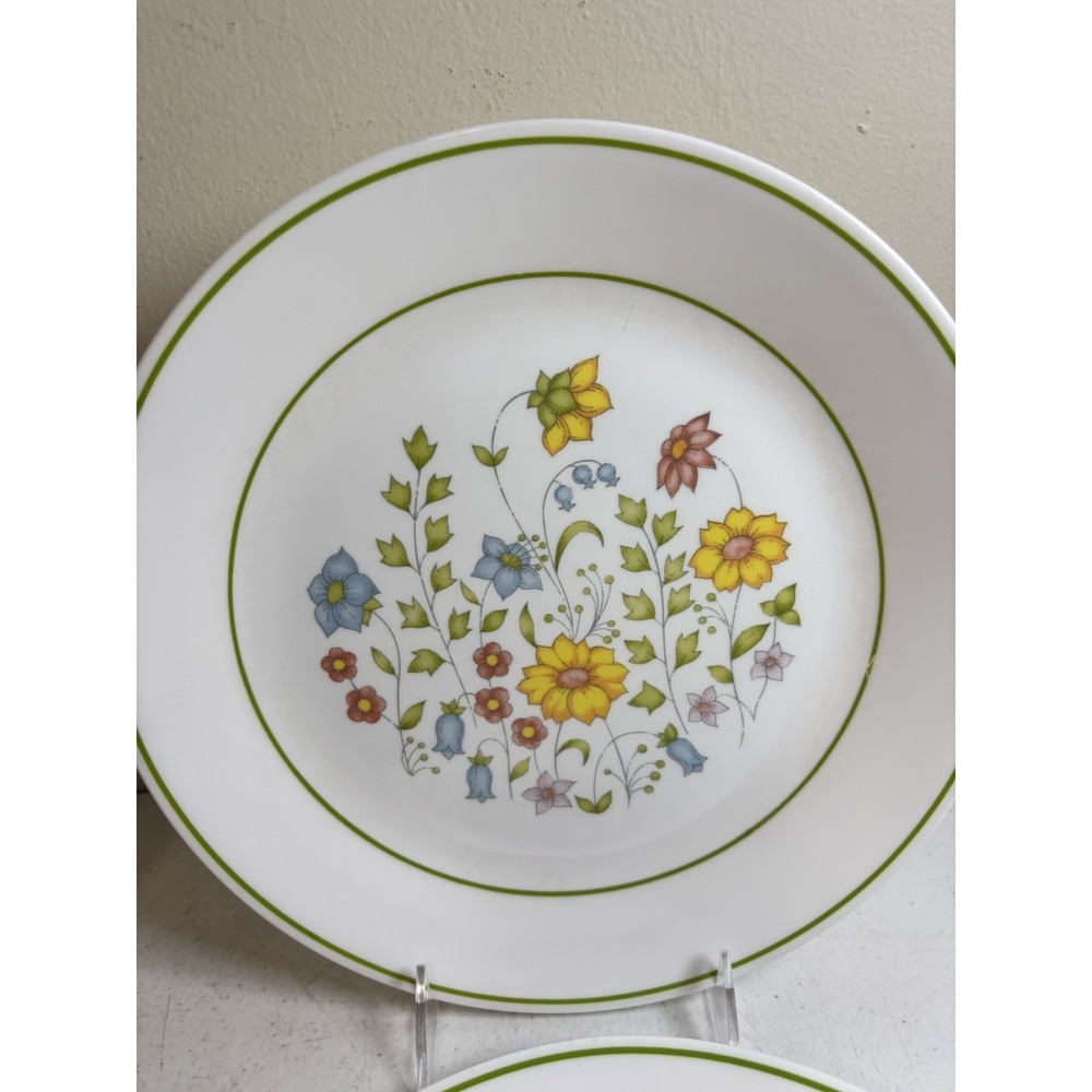 Corelle Spring Meadow 10.25" Dinner Plates Set of 4 Green Rim - Picture 4 of 7